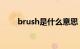 brush是什么意思（br是什么意思）