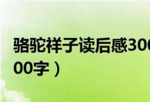 骆驼祥子读后感300字4篇（骆驼祥子读后感300字）