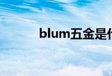 blum五金是什么品牌（blum）