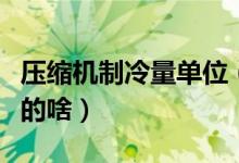 压缩机制冷量单位（制冷压缩机的制冷量代表的啥）