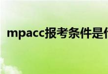 mpacc报考条件是什么（mpacc报考条件）