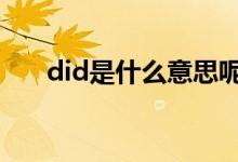 did是什么意思呢（dido是什么意思）