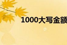 1000大写金额数字（1000大写）