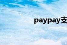 paypay支付（paypay）