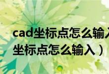 cad坐标点怎么输入如何输入建筑坐标（cad坐标点怎么输入）