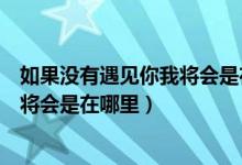 如果没有遇见你我将会是在哪里邓丽君（如果没有遇见你我将会是在哪里）