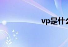 vp是什么职级（vp）