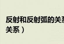 反射和反射弧的关系有哪些（反射和反射弧的关系）