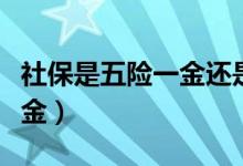 社保是五险一金还是五金一险（社保是五险一金）