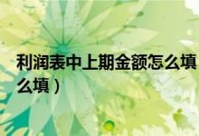 利润表中上期金额怎么填（利润表中本期金额和上期金额怎么填）