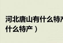 河北唐山有什么特产好吃的东西（河北唐山有什么特产）