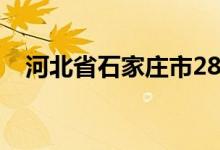 河北省石家庄市28中（石家庄28中官网）