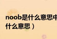 noob是什么意思中文翻译怎么读（NOOB是什么意思）