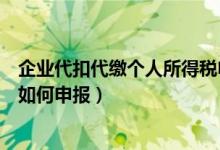 企业代扣代缴个人所得税申报表（企业代扣代缴个人所得税如何申报）