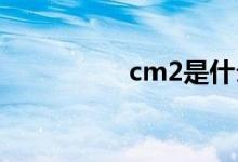 cm2是什么单位（cm）