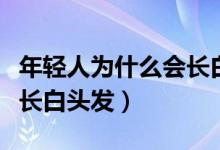 年轻人为什么会长白头发呢（年轻人为什么会长白头发）