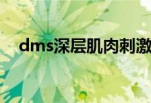 dms深层肌肉刺激仪（dms是什么意思）