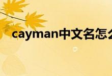 cayman中文名怎么叫（cayman中文名）