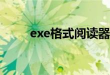 exe格式阅读器（exb文件阅读器）