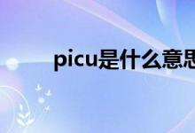 picu是什么意思（pic是什么意思）