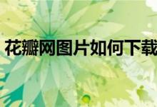 花瓣网图片如何下载（花瓣网图片怎么下载）