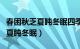 春困秋乏夏盹冬眠四季如梦啥意思（春困秋乏夏盹冬眠）