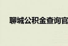 聊城公积金查询官网（聊城公积金查询）