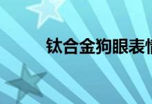 钛合金狗眼表情包（钛合金狗眼）