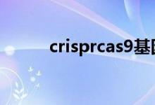 crisprcas9基因敲除技术（cris）