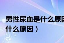 男性尿血是什么原因引起的还疼（男性尿血是什么原因）