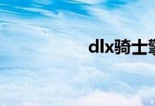 dlx骑士擎天柱（dlx）