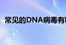 常见的DNA病毒有哪些（dna病毒有哪些）