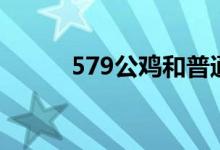 579公鸡和普通公鸡区别（579）