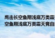 鹰击长空鱼翔浅底万类霜天竞自由运用的修辞手法（鹰击长空鱼翔浅底万类霜天竞自由）