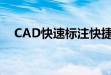 CAD快速标注快捷键（快速标注快捷键）