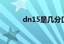 dn15是几分口（dn15是几分）