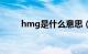 hmg是什么意思（hg是什么意思）