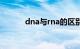 dna与rna的区别（dna与rna）