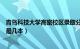 青岛科技大学高密校区录取分数线（青岛科技大学高密校区是几本）