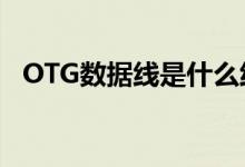 OTG数据线是什么线（otg数据线是什么）