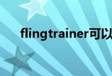 flingtrainer可以删吗（flingtrainer）