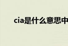 cia是什么意思中文（cia是什么意思）