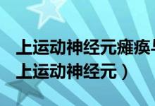 上运动神经元瘫痪与下运动神经元瘫痪区别（上运动神经元）