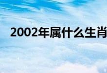 2002年属什么生肖（2003年属什么生肖）