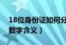 18位身份证如何分男女（身份证号码代表的数字含义）