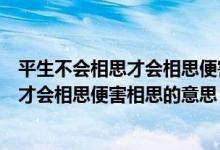 平生不会相思才会相思便害相思是什么意思（平生不会相思才会相思便害相思的意思）