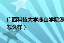 广西科技大学鹿山学院怎么样?怎（广西科技大学鹿山学院怎么样）