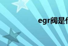 egr阀是什么（egr阀）