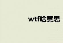 wtf啥意思（wtf什么意思）