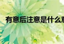 有意后注意是什么意思例子（有意后注意）